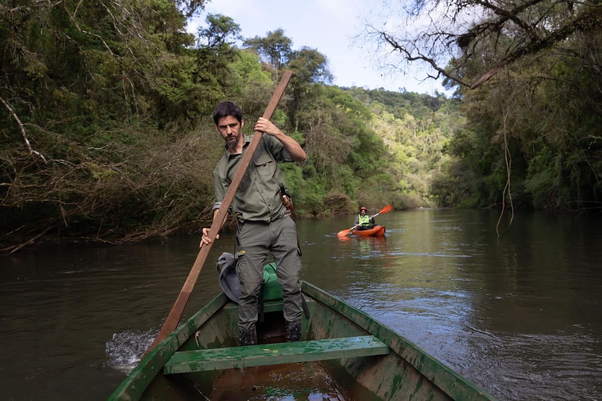 Una reserva en Misiones propone combinar cabañas frente al arroyo, kayak y senderos en la selva paranaense