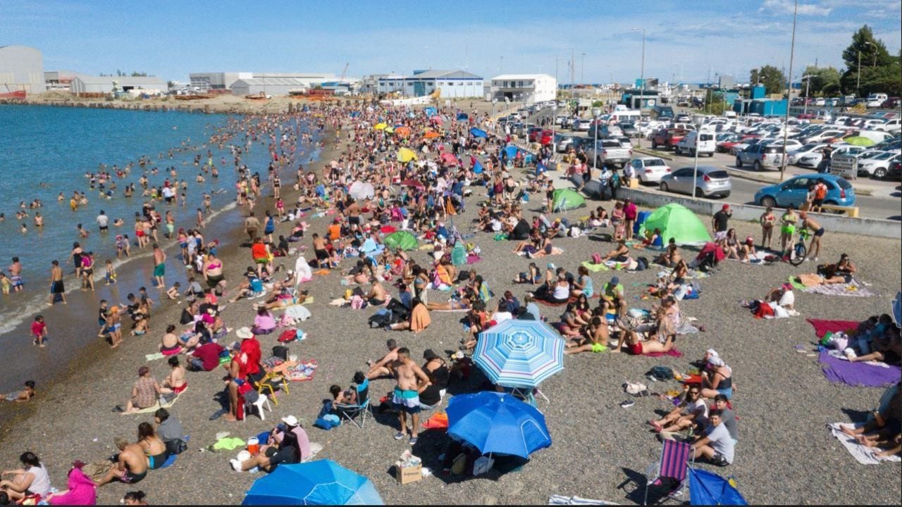 Comodoro Rivadavia se prepara para recibir a la ballena sei y suma razones para visitarla todo el año