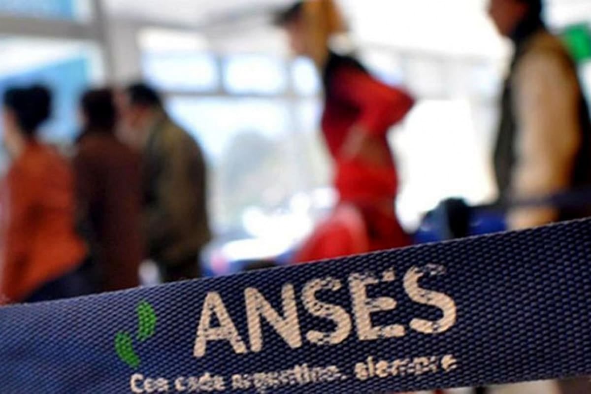 Anses: cómo saber cuándo y dónde se cobra la jubilación que supera el mínimo y la Prestación por Desempleo