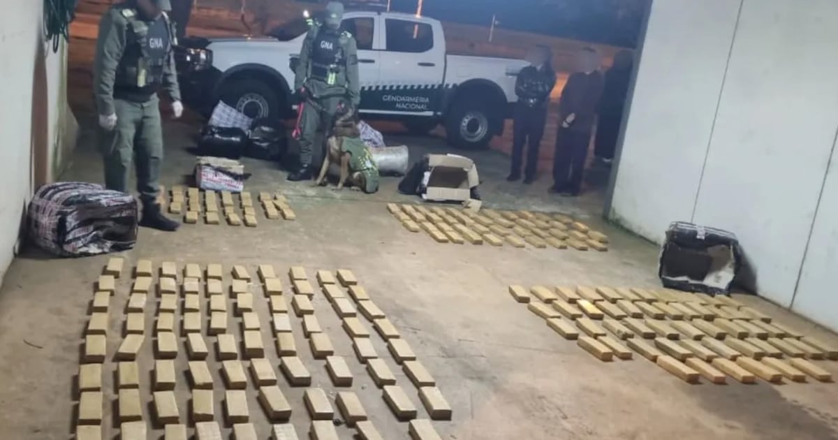 Secuestran más de 142 kilos de marihuana en un micro de larga distancia que se dirigía a Buenos Aires