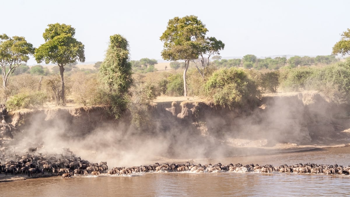 Tres parques, un cráter y el pulso del agua: un recorrido por el norte de Tanzania