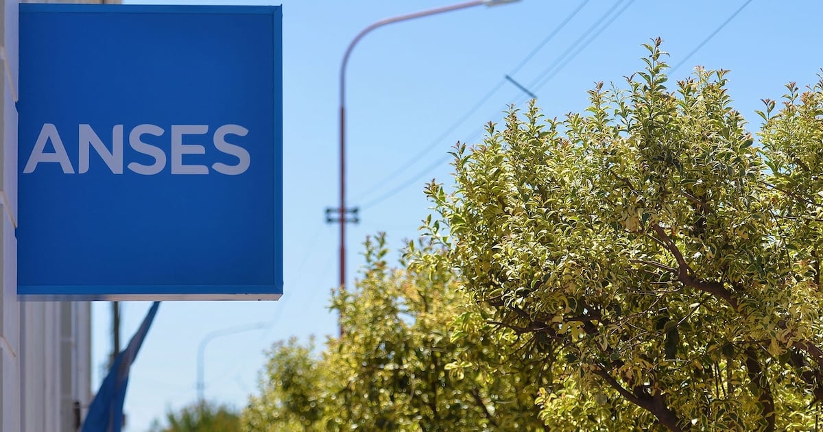 DNI terminado en 2: las fechas que viene manejando la ANSES para cobrar en octubre