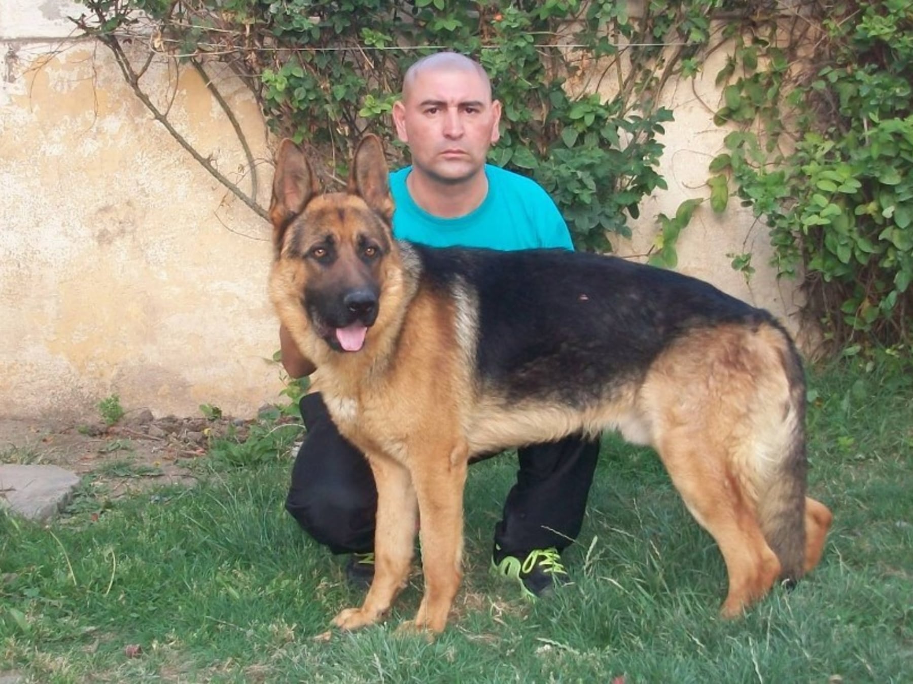 Perros de búsqueda bajo sospecha: el adiestrador del caso Fulles enfrentará el banco de los acusados en 2027