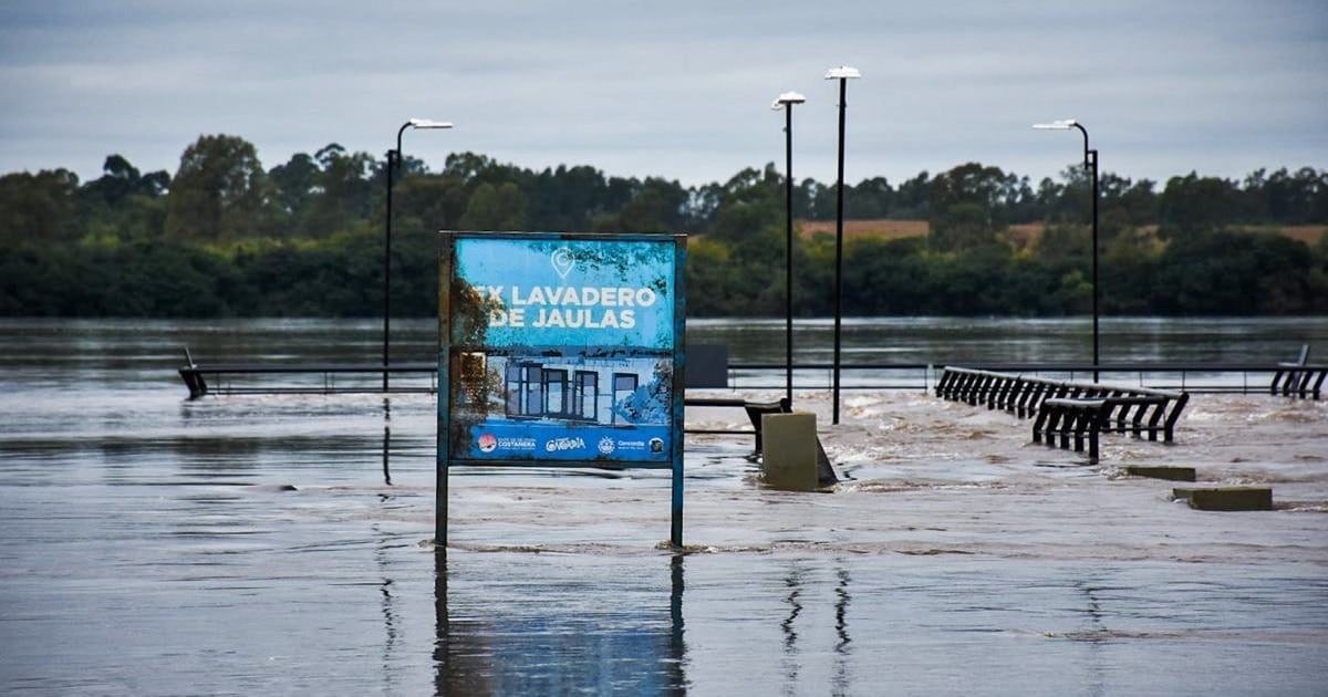 El Paraná se desborda, la carne se encarece y la energía se abarata: cómo nos toca El Niño en el bolsillo