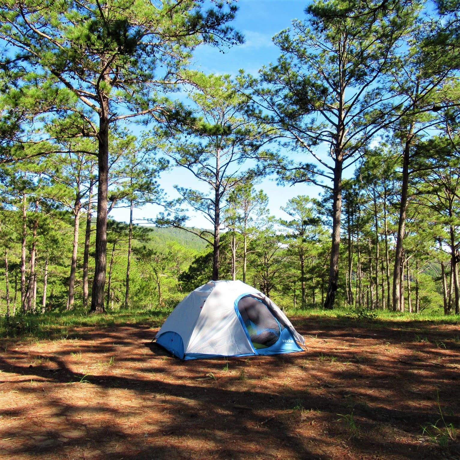 Huttopia estrena en Mar Azul su modelo europeo de camping de naturaleza y proyecta desembarcar en cuatro parques nacionales