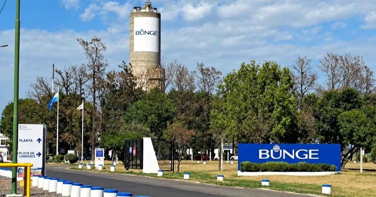 Campana: frenan la producción química de una planta y despiden a 110 trabajadores